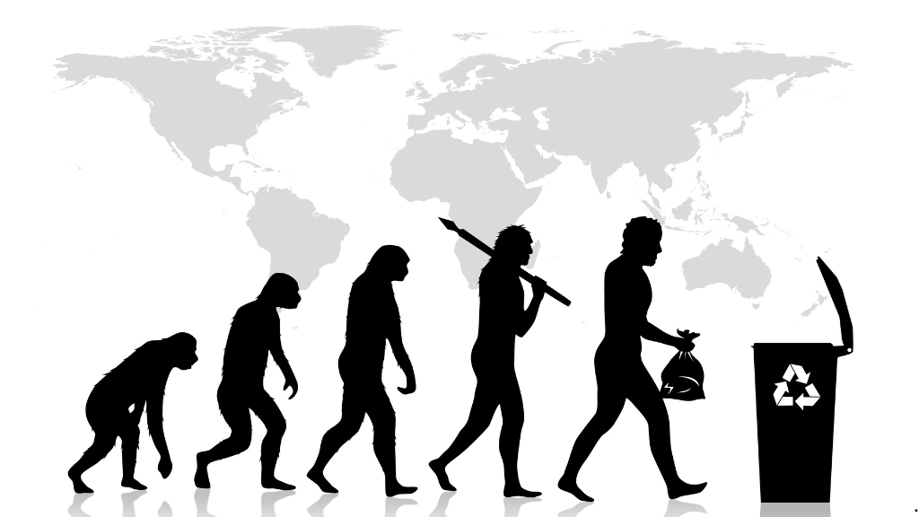 Sports Media Evolution